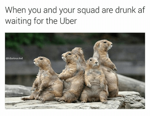 when-you-and-your-squad-are-drunk-af-waiting-for-2214666-147459-edited.png