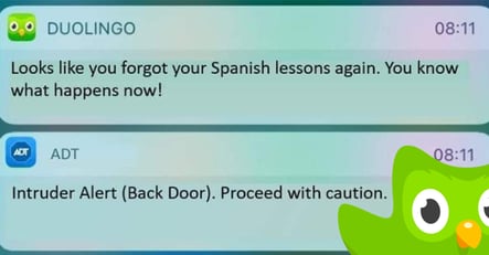 Duolingo Push Notifications Aggressive 