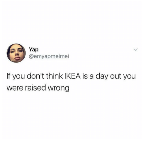 Ikea Day Out Meme Marketing Strategy Market Segmentation 