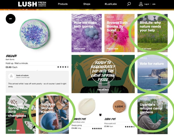 Lush Cosmetics Marketing Strategy Market Segmentation Eco Marketing Cruelty Free Marketing Strategy
